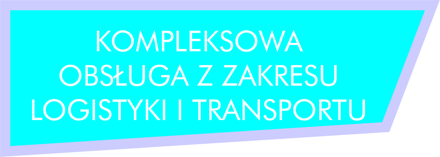 Kompleksowa obsługa z zakresu logistyki i transportu